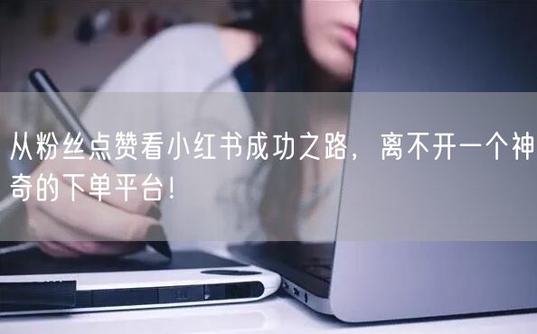 从粉丝点赞看小红书成功之路，离不开一个神奇的下单平台！