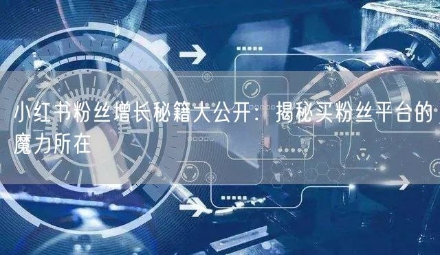 小红书粉丝增长秘籍大公开：揭秘买粉丝平台的魔力所在