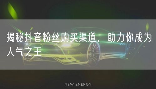 揭秘抖音粉丝购买渠道，助力你成为人气之王
