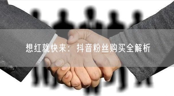 想红就快来：抖音粉丝购买全解析