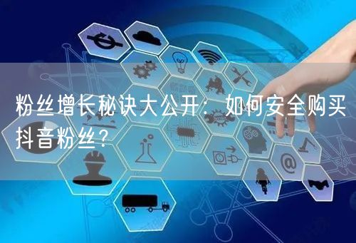 粉丝增长秘诀大公开：如何安全购买抖音粉丝？