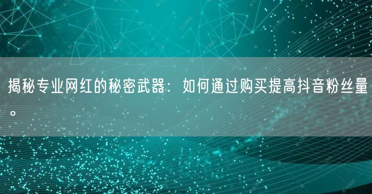揭秘专业网红的秘密武器：如何通过购买提高抖音粉丝量。