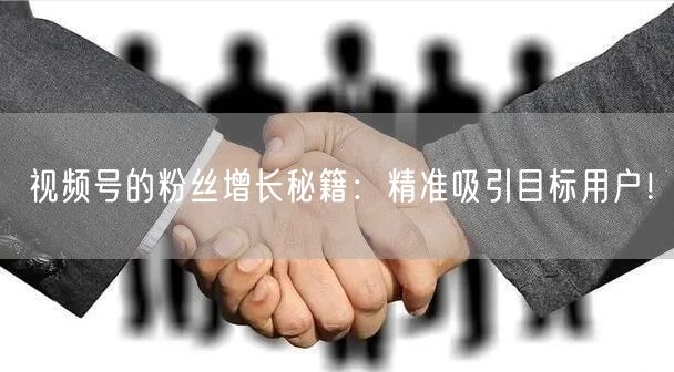视频号的粉丝增长秘籍：精准吸引目标用户！