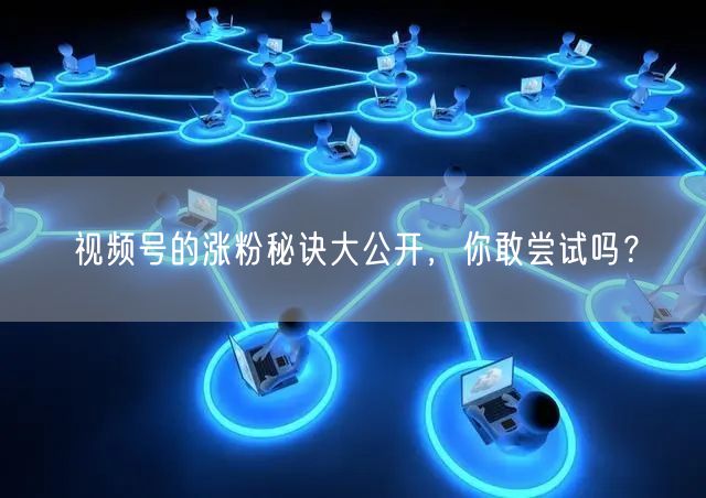 视频号的涨粉秘诀大公开，你敢尝试吗？
