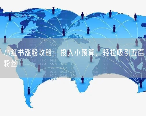 小红书涨粉攻略：投入小预算，轻松吸引五百粉丝！