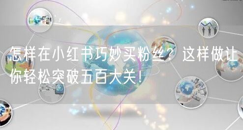 怎样在小红书巧妙买粉丝？这样做让你轻松突破五百大关！