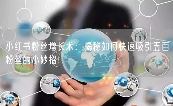 小红书粉丝增长术：揭秘如何快速吸引五百粉丝的小妙招！