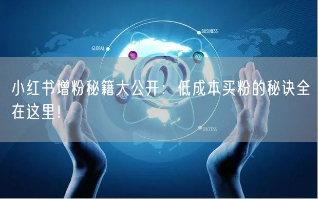 小红书增粉秘籍大公开：低成本买粉的秘诀全在这里！