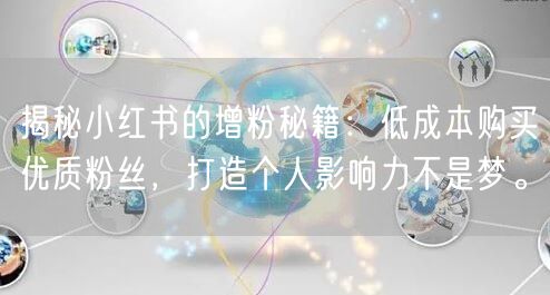 揭秘小红书的增粉秘籍：低成本购买优质粉丝，打造个人影响力不是梦。