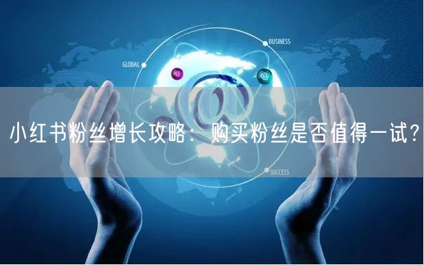 小红书粉丝增长攻略：购买粉丝是否值得一试？