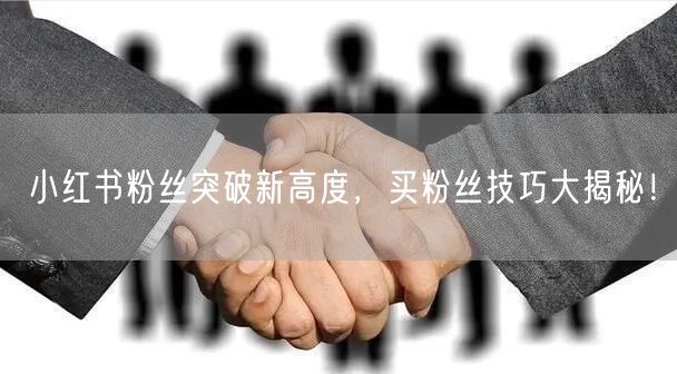 小红书粉丝突破新高度，买粉丝技巧大揭秘！