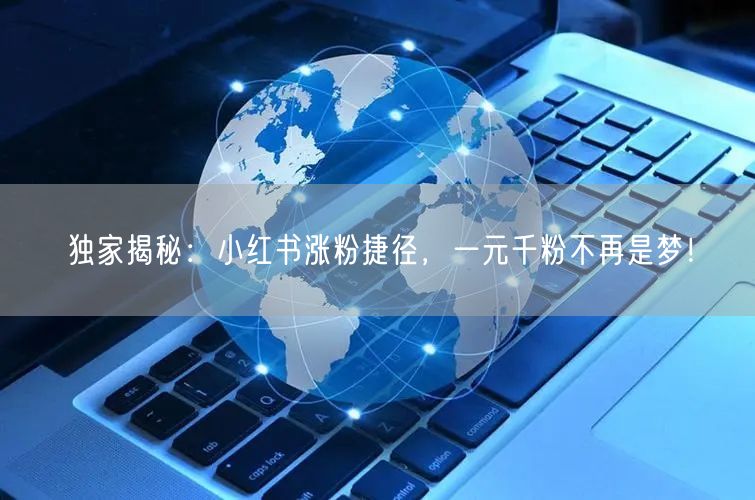 独家揭秘：小红书涨粉捷径，一元千粉不再是梦！