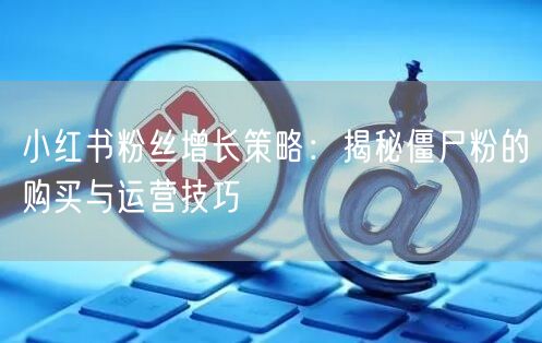 小红书粉丝增长策略：揭秘僵尸粉的购买与运营技巧