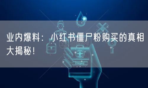 业内爆料：小红书僵尸粉购买的真相大揭秘！