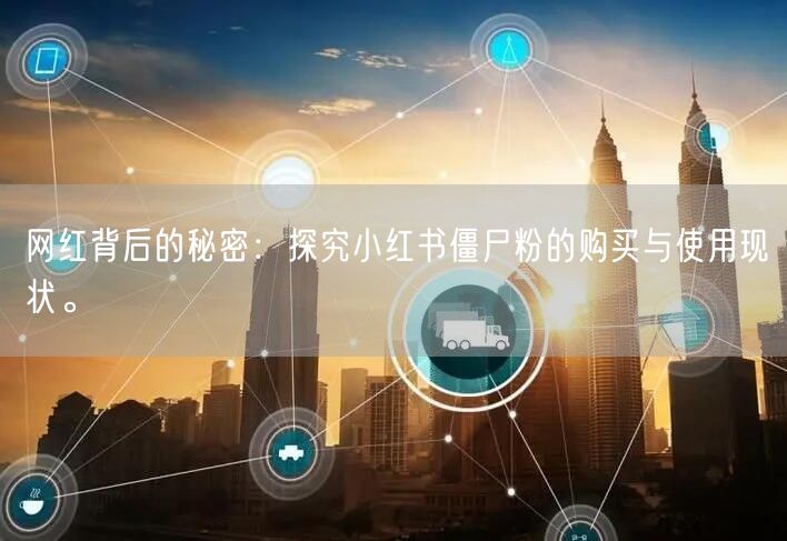 网红背后的秘密：探究小红书僵尸粉的购买与使用现状。