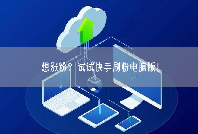 想涨粉？试试快手刷粉电脑版！