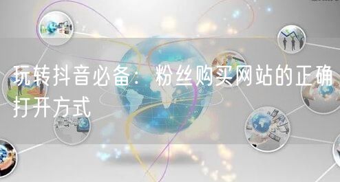 玩转抖音必备：粉丝购买网站的正确打开方式