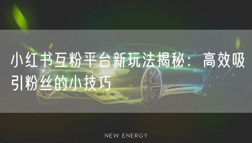 小红书互粉平台新玩法揭秘：高效吸引粉丝的小技巧