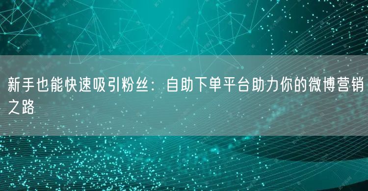 新手也能快速吸引粉丝:自助下单平台助力你的微博营销之路